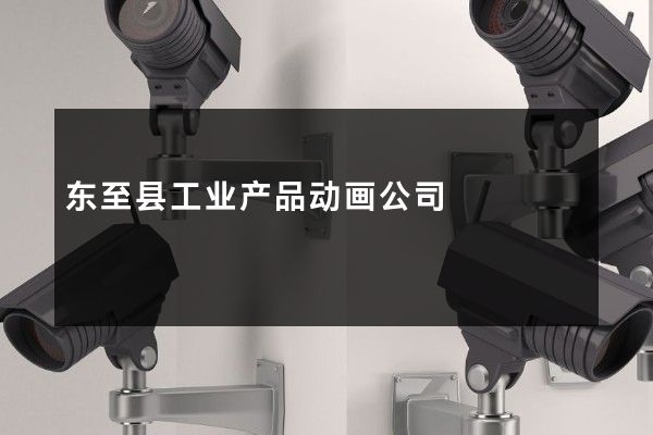 东至县工业产品动画公司