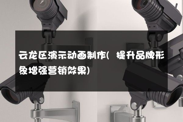 云龙区演示动画制作(提升品牌形象增强营销效果)