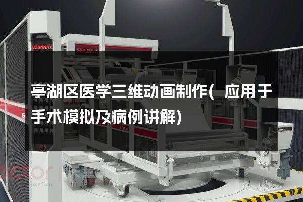 亭湖区医学三维动画制作(应用于手术模拟及病例讲解)