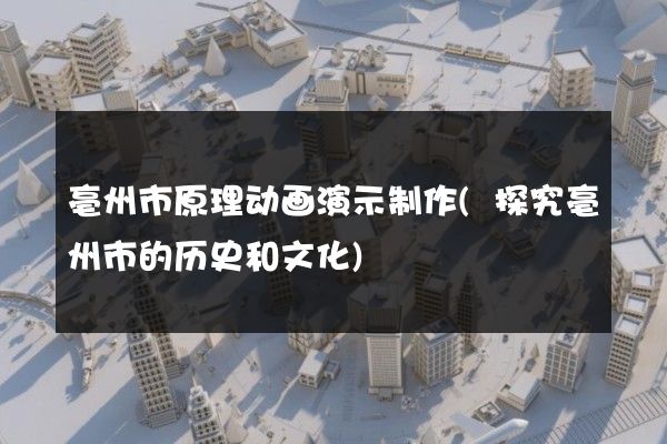 亳州市原理动画演示制作(探究亳州市的历史和文化)