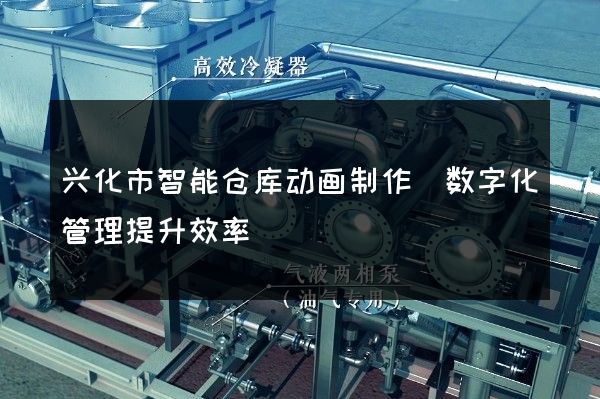 兴化市智能仓库动画制作(数字化管理提升效率)