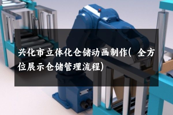 兴化市立体化仓储动画制作(全方位展示仓储管理流程)