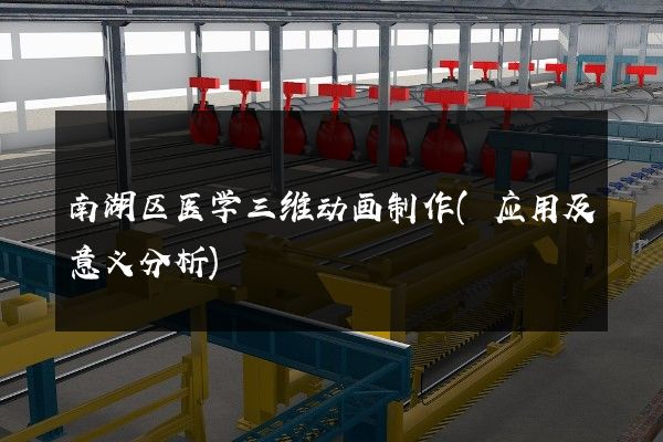 南湖区医学三维动画制作(应用及意义分析)