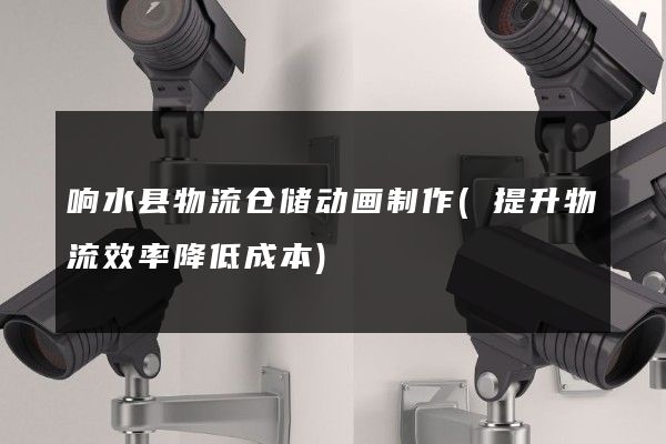 响水县物流仓储动画制作(提升物流效率降低成本)