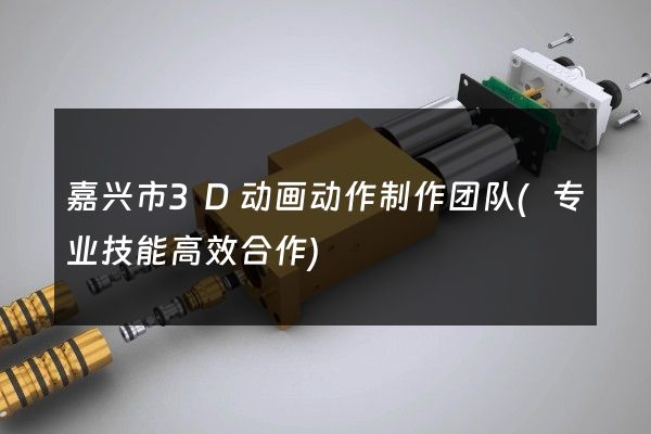 嘉兴市3D动画动作制作团队(专业技能高效合作)