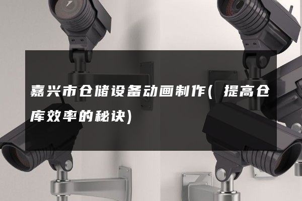 嘉兴市仓储设备动画制作(提高仓库效率的秘诀)