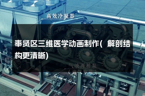 奉贤区三维医学动画制作(解剖结构更清晰)