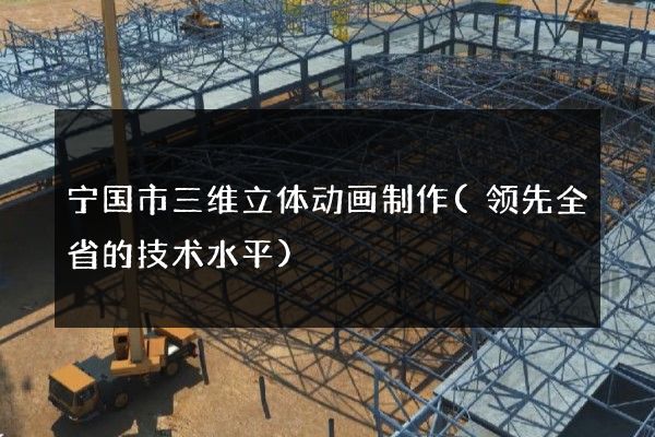 宁国市三维立体动画制作(领先全省的技术水平)