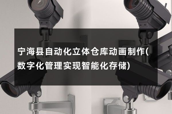 宁海县自动化立体仓库动画制作(数字化管理实现智能化存储)