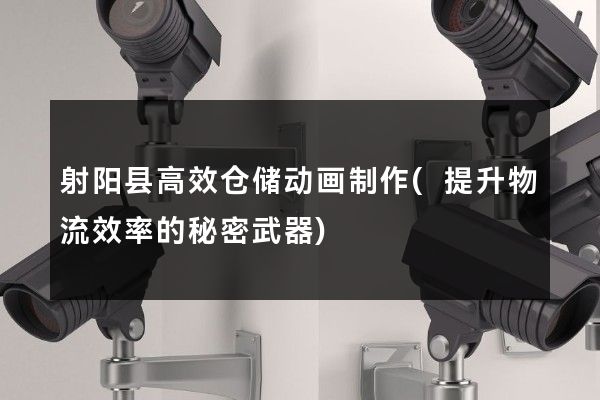 射阳县高效仓储动画制作(提升物流效率的秘密武器)