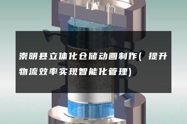 崇明县立体化仓储动画制作(提升物流效率实现智能化管理)