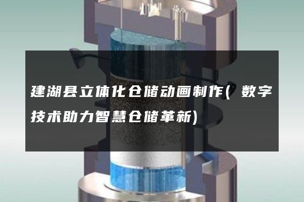 建湖县立体化仓储动画制作(数字技术助力智慧仓储革新)