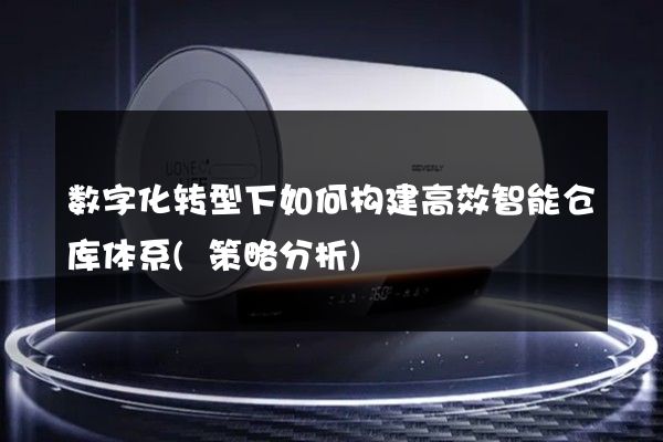 数字化转型下如何构建高效智能仓库体系(策略分析)