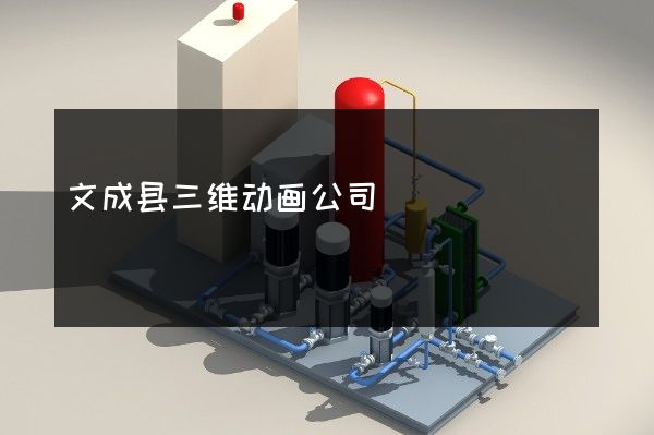 文成县三维动画公司