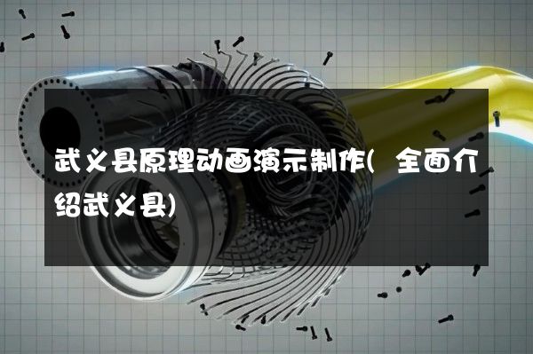 武义县原理动画演示制作(全面介绍武义县)