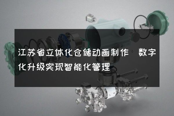 江苏省立体化仓储动画制作(数字化升级实现智能化管理)