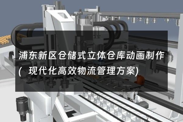 浦东新区仓储式立体仓库动画制作(现代化高效物流管理方案)