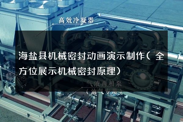 海盐县机械密封动画演示制作(全方位展示机械密封原理)