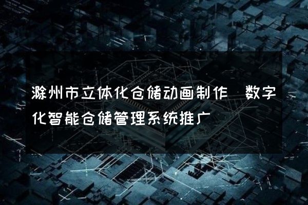 滁州市立体化仓储动画制作(数字化智能仓储管理系统推广)