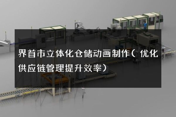 界首市立体化仓储动画制作(优化供应链管理提升效率)