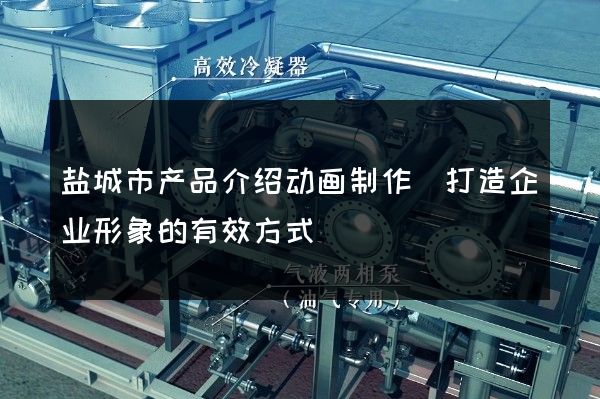 盐城市产品介绍动画制作(打造企业形象的有效方式)