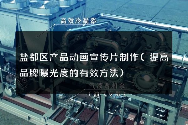 盐都区产品动画宣传片制作(提高品牌曝光度的有效方法)