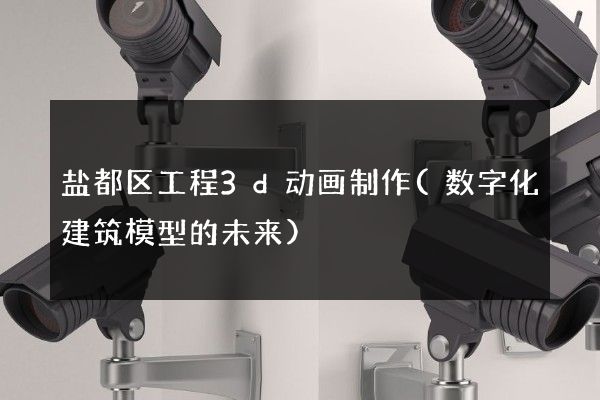 盐都区工程3d动画制作(数字化建筑模型的未来)