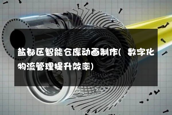 盐都区智能仓库动画制作(数字化物流管理提升效率)