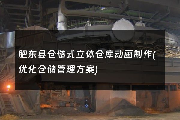 肥东县仓储式立体仓库动画制作(优化仓储管理方案)