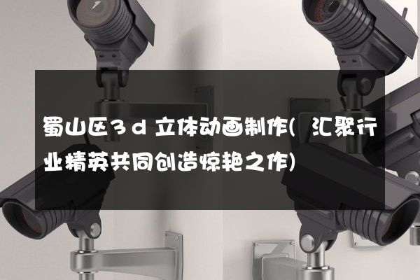 蜀山区3d立体动画制作(汇聚行业精英共同创造惊艳之作)