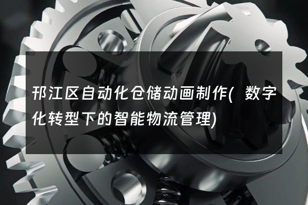 邗江区自动化仓储动画制作(数字化转型下的智能物流管理)