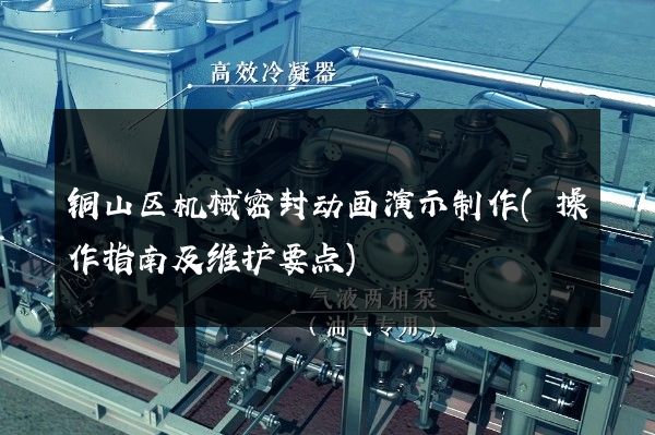 铜山区机械密封动画演示制作(操作指南及维护要点)