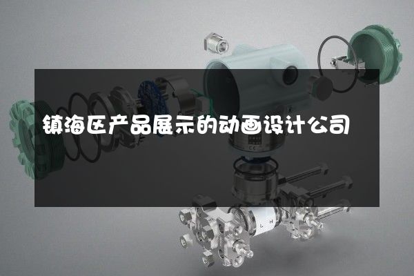 镇海区产品展示的动画设计公司