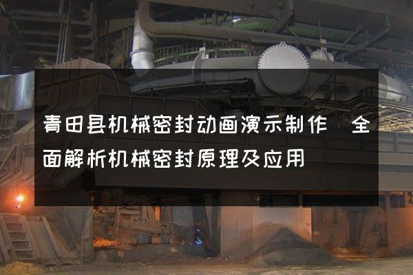 青田县机械密封动画演示制作(全面解析机械密封原理及应用)