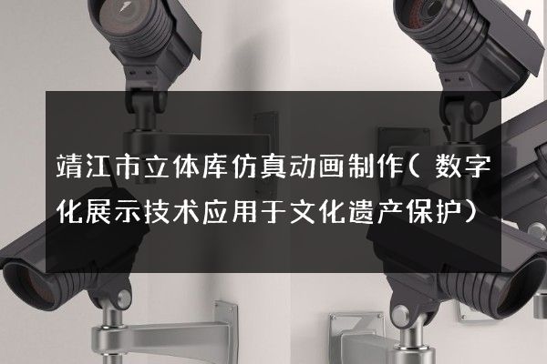 靖江市立体库仿真动画制作(数字化展示技术应用于文化遗产保护)