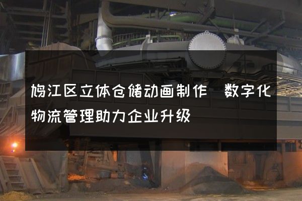 鸠江区立体仓储动画制作(数字化物流管理助力企业升级)