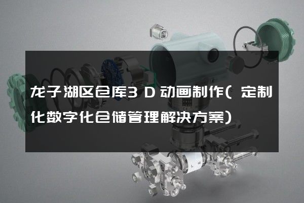 龙子湖区仓库3D动画制作(定制化数字化仓储管理解决方案)