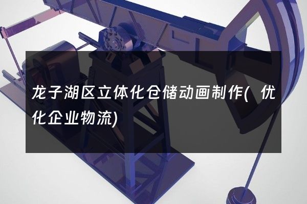 龙子湖区立体化仓储动画制作(优化企业物流)