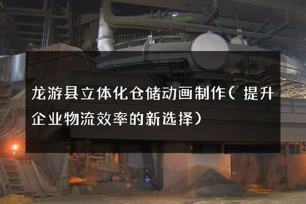 龙游县立体化仓储动画制作(提升企业物流效率的新选择)