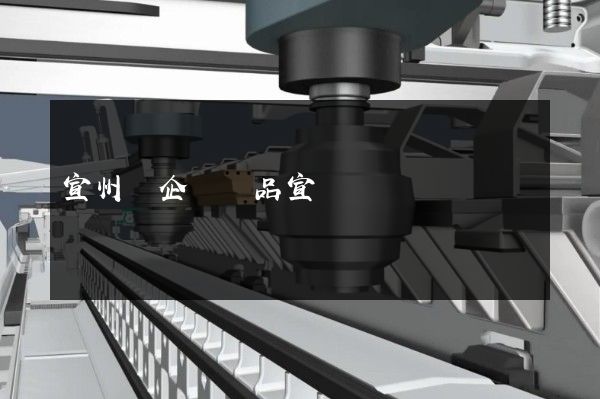 宣州區企業產品宣傳動畫