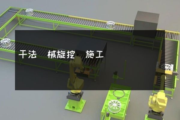 干法機械旋挖樁施工動畫