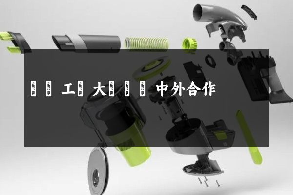 廣東工業大學動畫中外合作