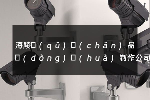 海陵區(qū)產(chǎn)品動(dòng)畫(huà)制作公司